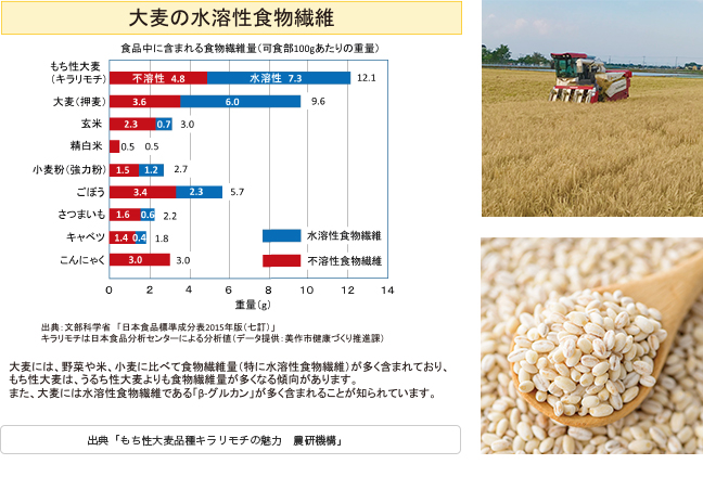 出典「もち性大麦品種キラリモチの魅力　農研機構」